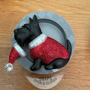 Schnauzer Visor Clip